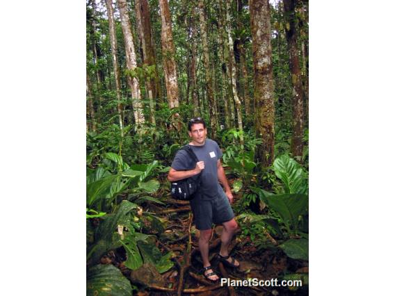 Alex in the jungle