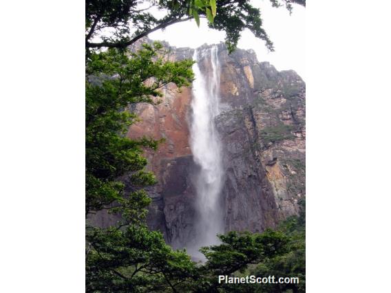 Angel Falls, World's Highest Waterfall