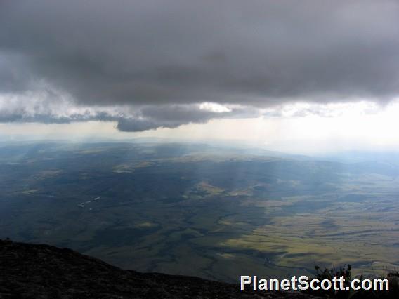 View from the top of Roraima