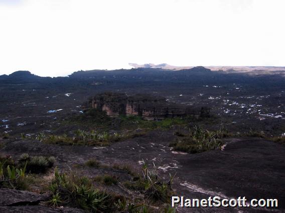 Our campsite, Roraima