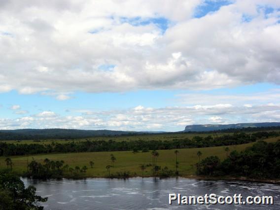 Canaima, Venezuela