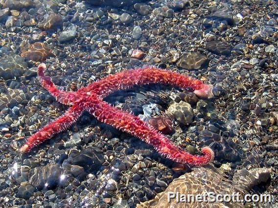 	Gwaii Haanas National Park