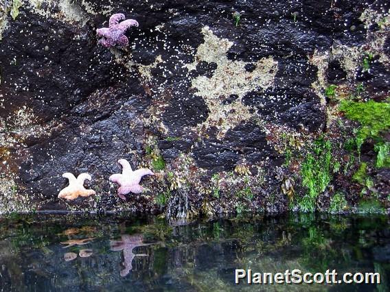 Gwaii Haanas National Park