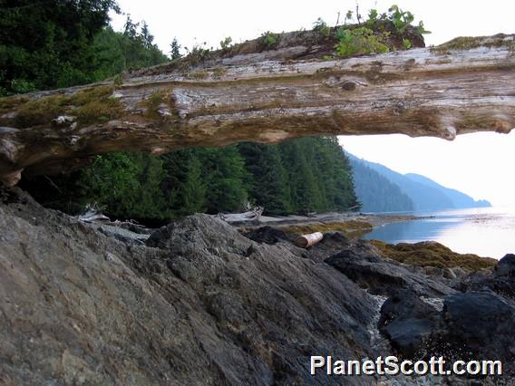 	Gwaii Haanas National Park