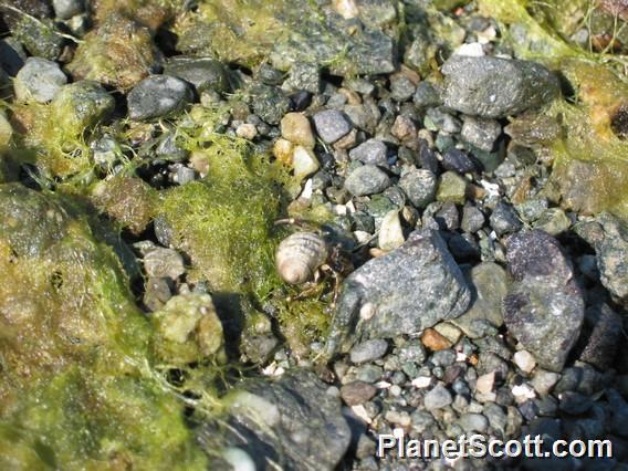 Gwaii Haanas National Park