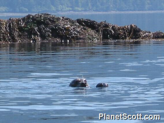 Gwaii Haanas National Park