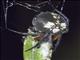 Orbweaver Spider (Eriophora fuliginea)