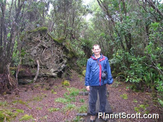 Scott on the Alakai Swamp Trail