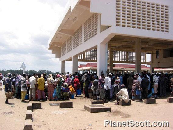 Fish Market in Dar Es Salaam