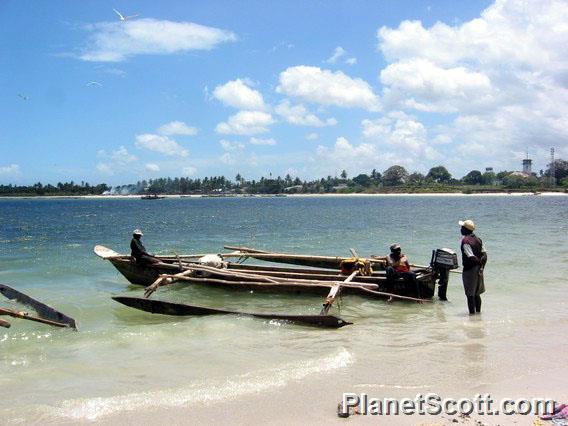 Dhows in the Indian Ocean