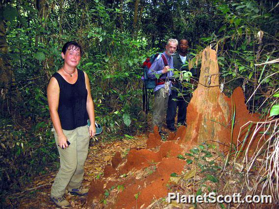 Barbara and Termites, Udzungwa Mountains, Tanzania