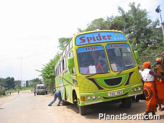 Spider Kid Bus Company, Tanzania
