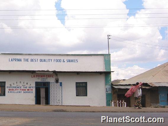 Interesting Store, Tanzania
