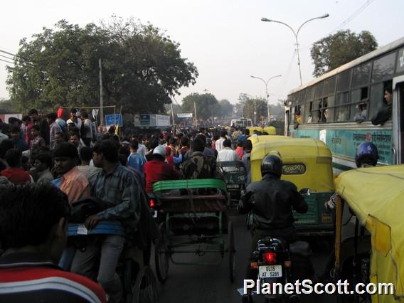 Old Delhi Market Area