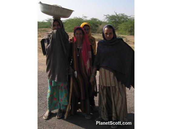 Indian Ladies