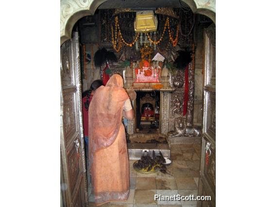 Karni Mata Rat Temple