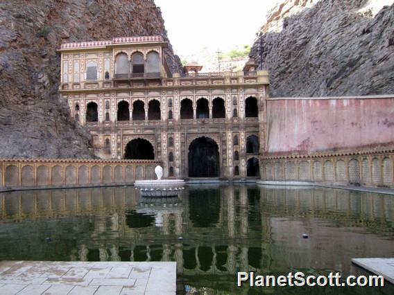 Monkey Temple, Jaipur