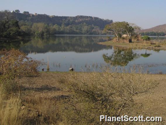 Rathambore Fort and Lake