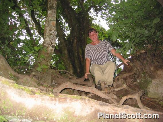 Barbara climbs on vines