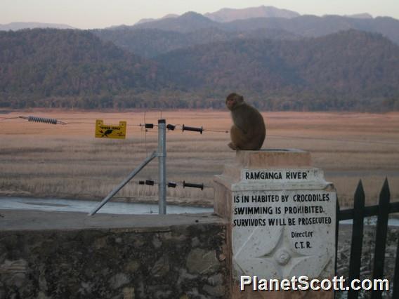 Corbett Tiger Reserve