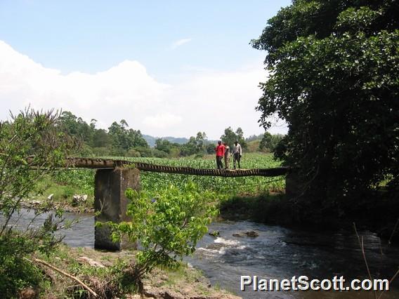 Barbara crosses rickety bridge... with help