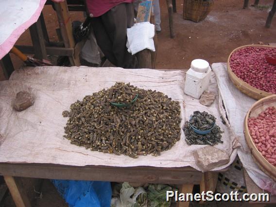 At The Market, Zambia