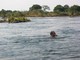 Scott swims above Victoria Falls, Zambia
