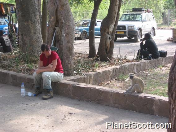 Barbara and Vervet Monkey, Zambia