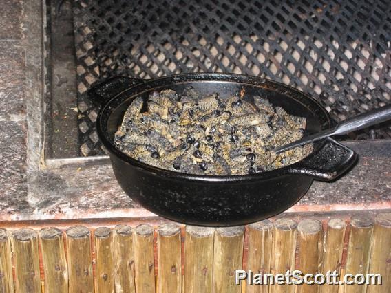 Bowl Full of Mumpa Grubs, Botswana