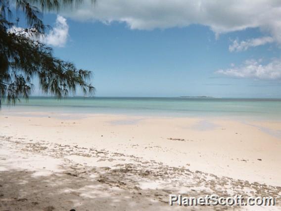 Beach, Mozambique