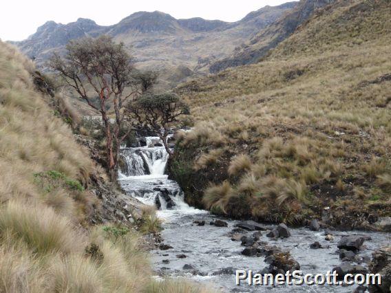 Cajas National Park