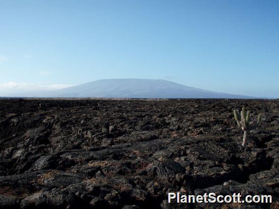 Volcano, Isla Isabela