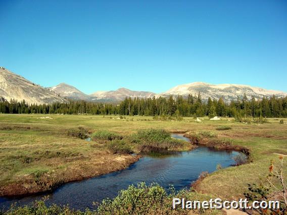 Toulumne Meadows, Yosemite National Park