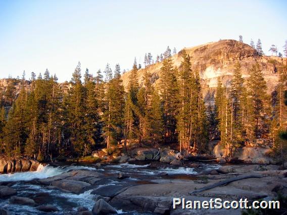 Raging River, Yosemite National Park