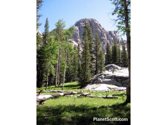 Backcountry, Yosemite National Park