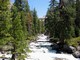 River and Trees, Yosemite National Park