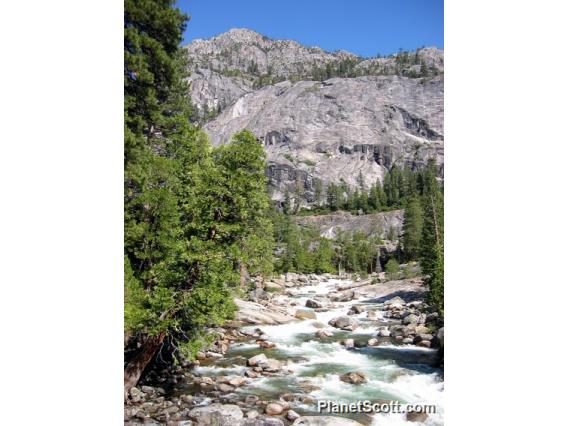 Yosemite National Park