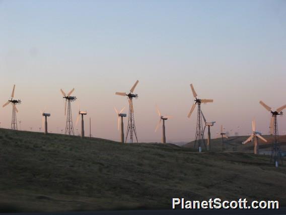 Windmills, Livermore, California