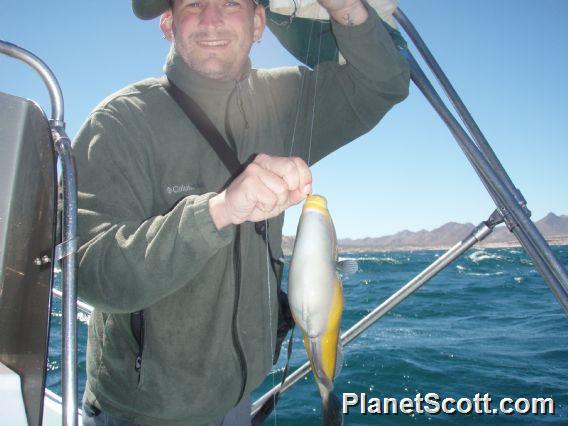 Scott Catches a Fish