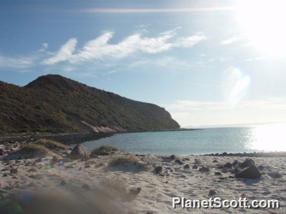 Playa on Isla Espiritu Santo