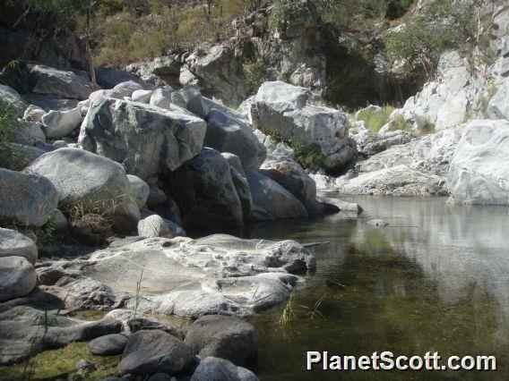 Agua Caliente, Santiago