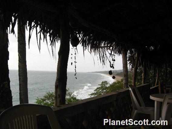 View from Juan and Maria's restaurant, overlooking Playa Punta Raza