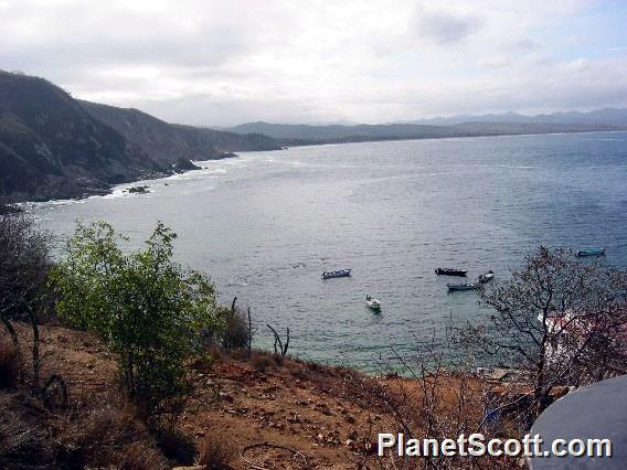 Tehualmixtle Harbor, Jalisco, Mexico