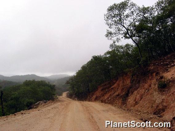 Road to Tehualmixtle, Jalisco, Mexico