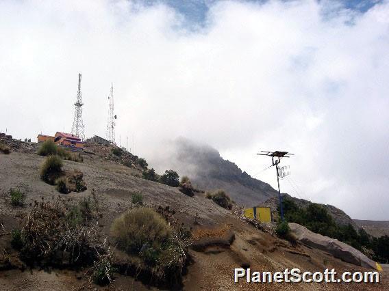 Volcan de Colima - Colima, Mexico