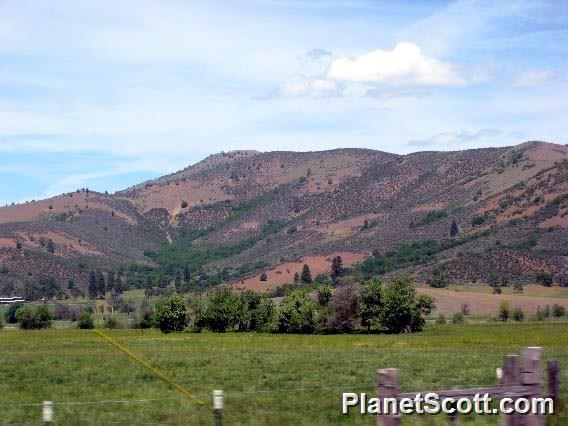 Scott River Valley