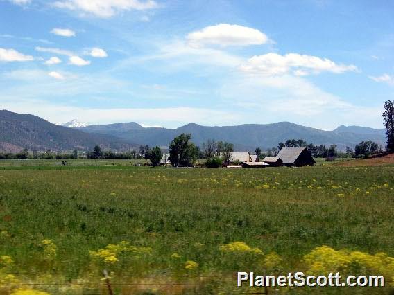 Scott River Valley