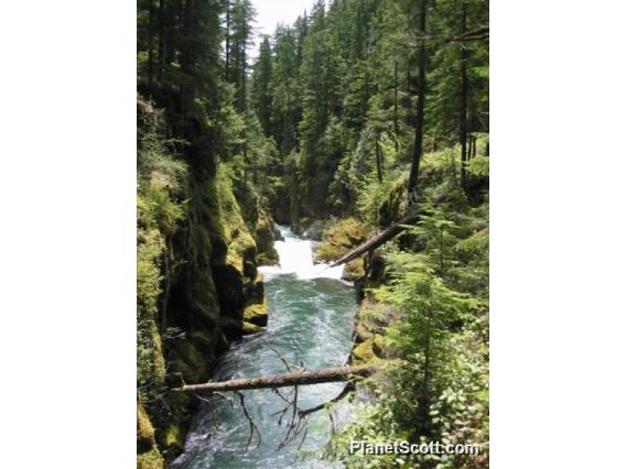 Mt. Ranier National Park