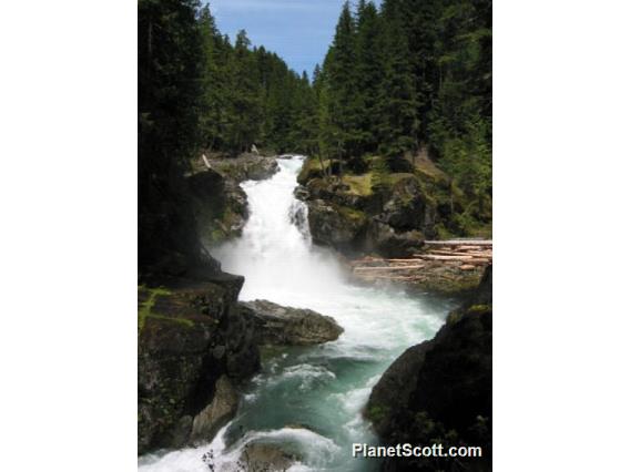 Mt. Ranier National Park