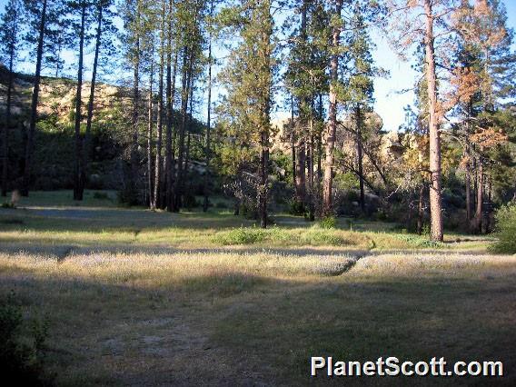 Camping spot in the Ventana Wilderness